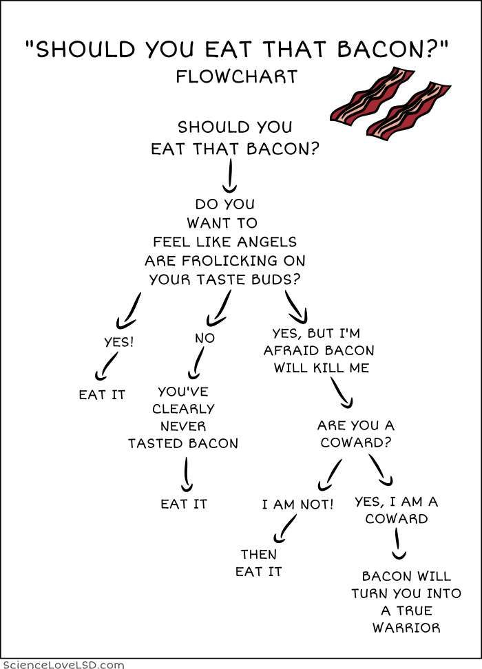bacon flow chart